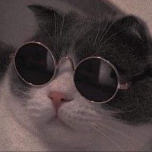 Meet your Posher, Kym